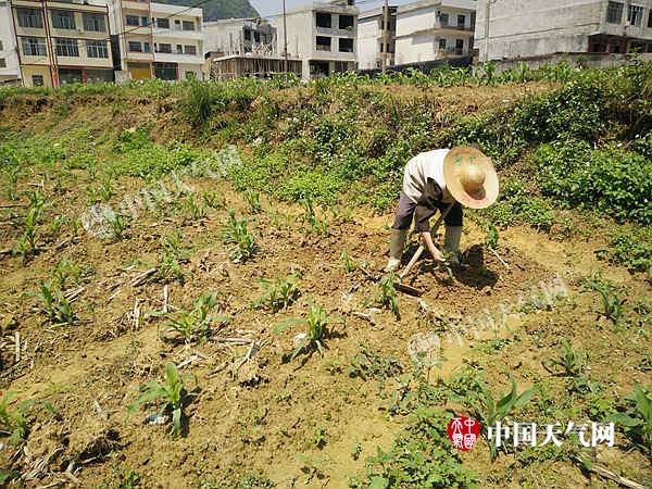 天气预报崇阳,崇阳 天气-第4张图片-优品飞百科 天气预报崇阳,崇阳 天气-第4张图片-优品飞百科