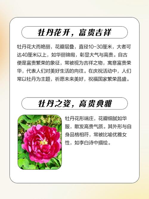 牡丹花什么时候开，牡丹花什么时候开放几点钟-第1张图片-优品飞百科