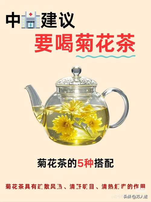 菊花茶有减肥功效吗，菊花茶能不能减肥？