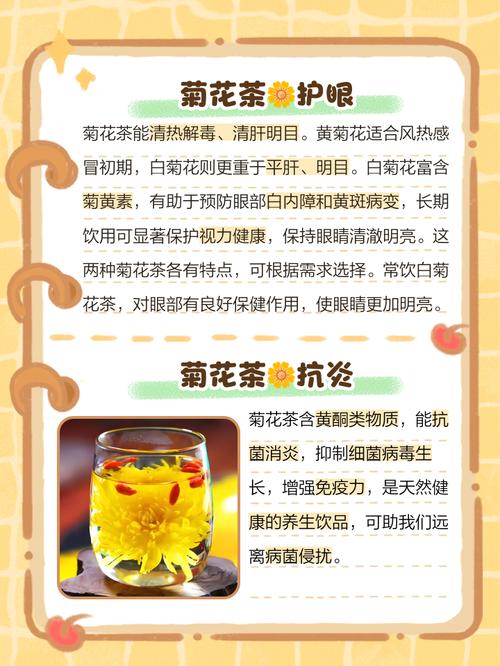 菊花茶有减肥功效吗，菊花茶能不能减肥？-第5张图片-优品飞百科