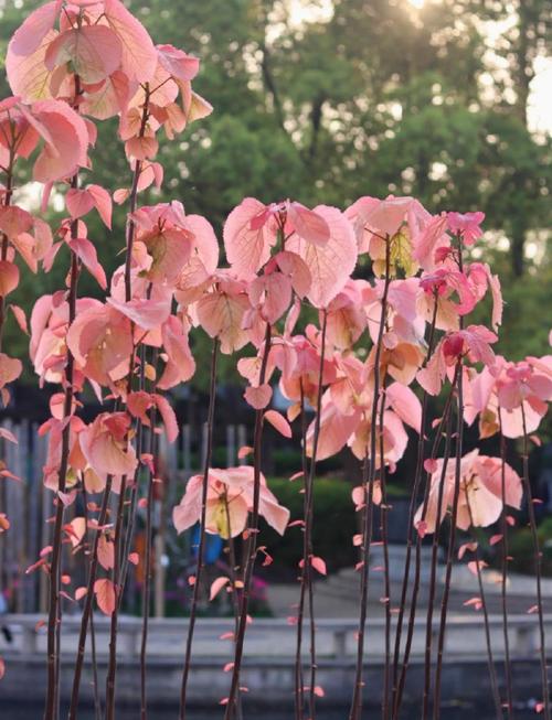 无锡滨湖区天气预报？无锡滨湖区天气预报一周7天查询？-第6张图片-优品飞百科