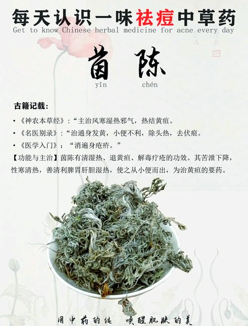 茵陈的功效与作用，茵陈的功效与作用和禁忌？-第4张图片-优品飞百科