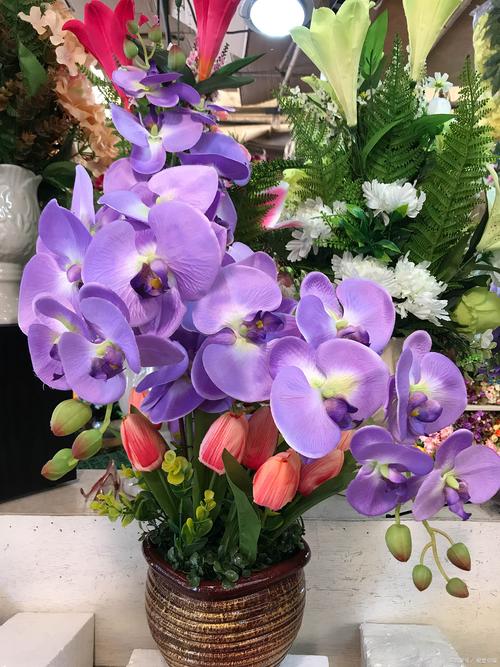 量天尺的花语和寓意，有什么传说故事，量天尺的花图片？-第1张图片-优品飞百科