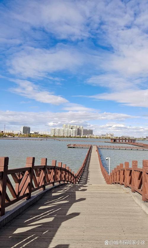 肇源县天气预报？肇源县天气预报15天了？-第3张图片-优品飞百科