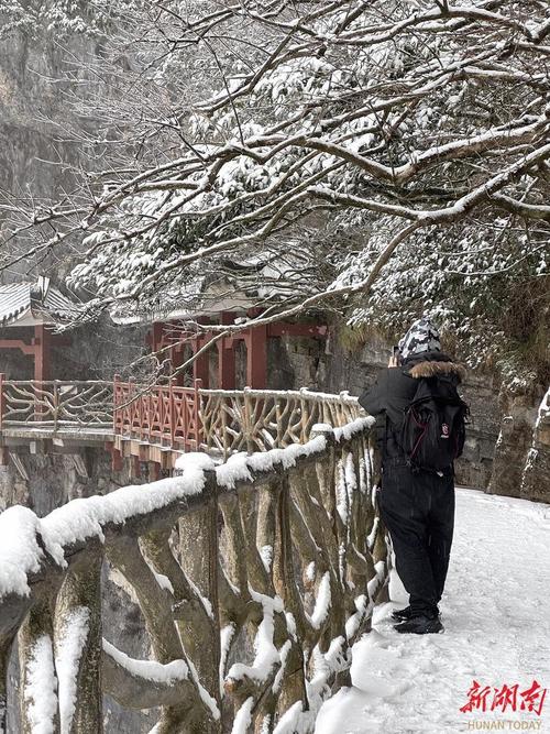 鹤城区天气预报，鹤城区天气预报一周7天-第5张图片-优品飞百科