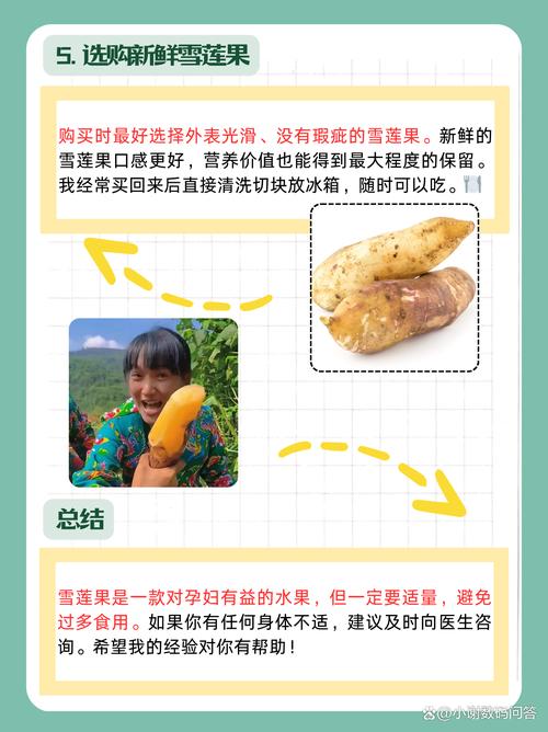 吃雪莲果有什么禁忌,孕妇可以吃雪莲果吗?吃雪莲果孕妇能吃吗?-第2张图片-优品飞百科 吃雪莲果有什么禁忌,孕妇可以吃雪莲果吗?吃雪莲果孕妇能吃吗?-第2张图片-优品飞百科