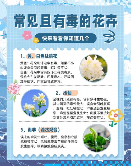 洒金榕有毒吗，可以放在室内吗，洒金榕有什么风水寓意？-第1张图片-优品飞百科