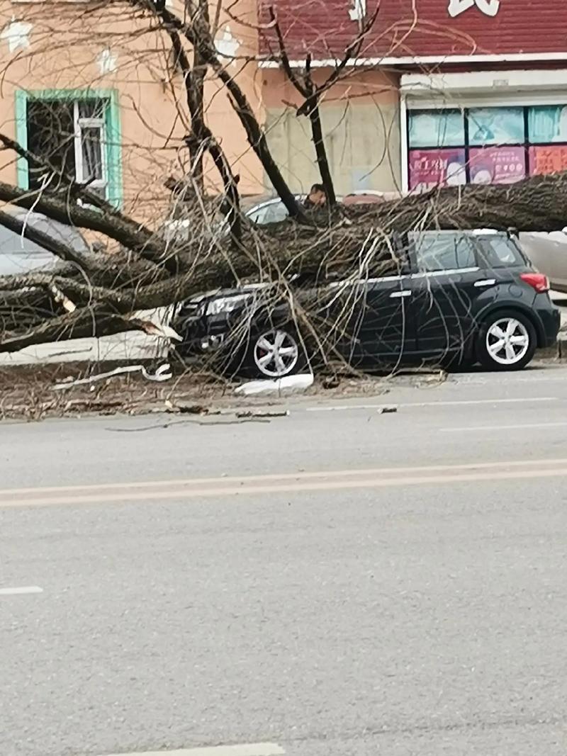 沈阳康平县天气预报，辽宁省沈阳市康平县一周天气预报-第3张图片-优品飞百科