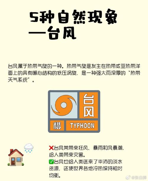 荷花的特点，什么季节开花？荷花的季节是什么时候开的？-第3张图片-优品飞百科