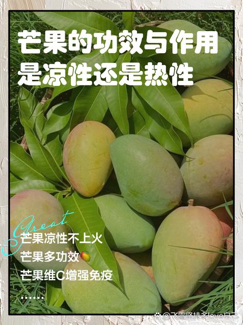 芒果的功效与作用，芒果吃多了会怎么样，芒果有什么功效与作用,吃多了好不好-第2张图片-优品飞百科