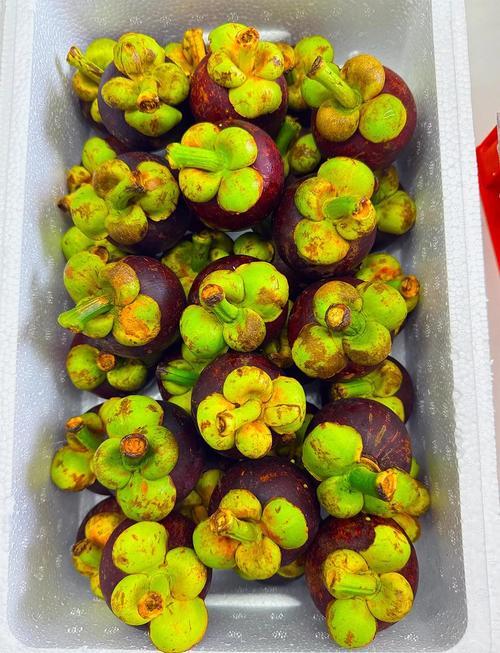 山竹多少钱一斤，山竹图片？山竹近来多少钱一斤？