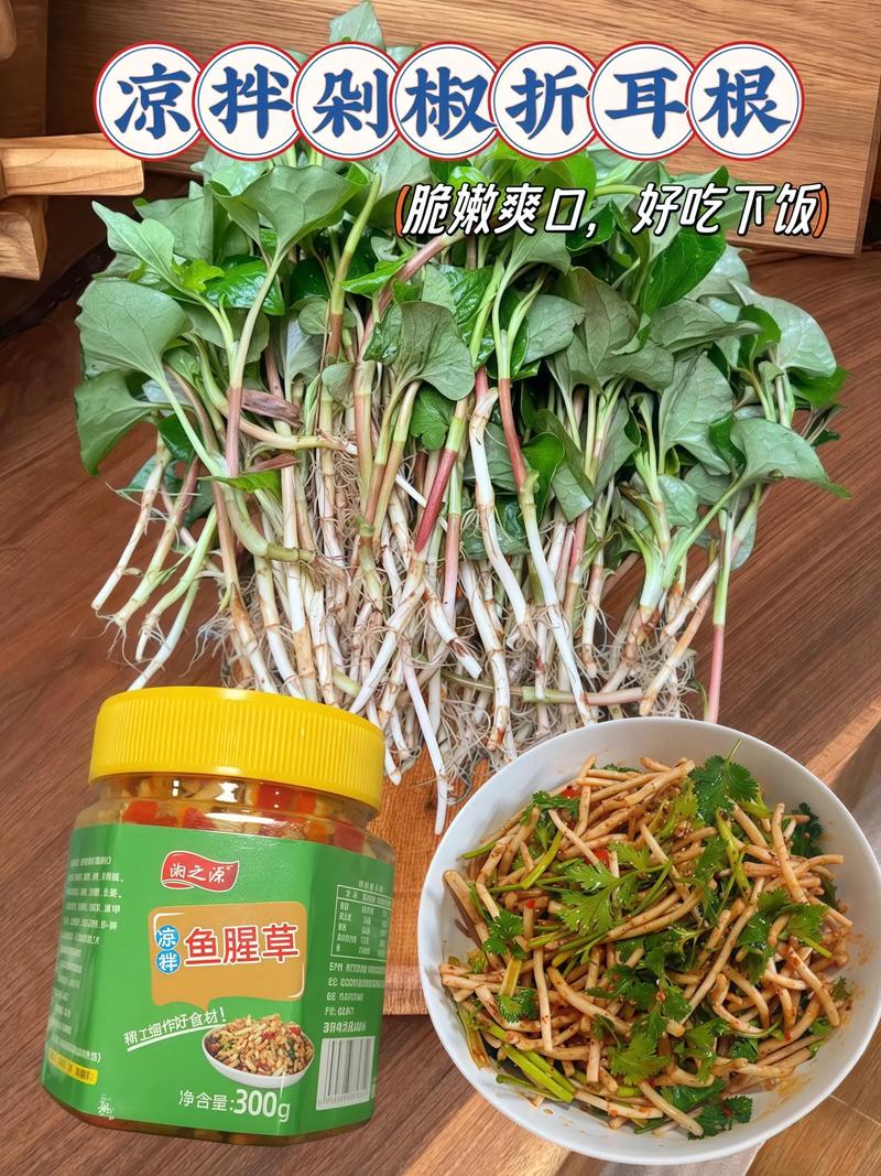 鱼腥草跟折耳根一样吗，鱼腥草可以吃吗？鱼腥草和折耳根哪个是学名？-第2张图片-优品飞百科