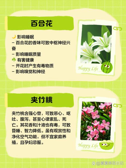 家庭养花的禁忌事项，家庭养花风水知识？-第1张图片-优品飞百科