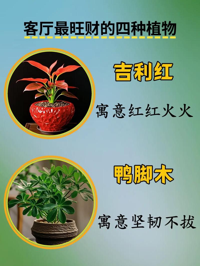 家庭养花的禁忌事项，家庭养花风水知识？-第5张图片-优品飞百科