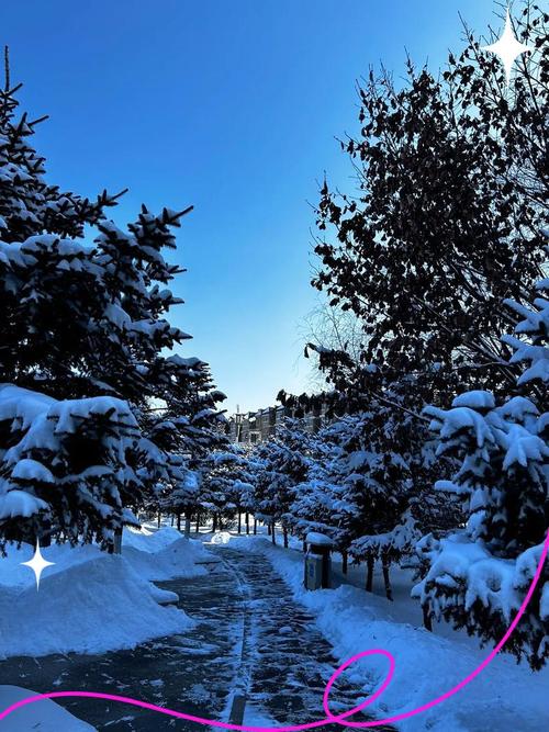 望花天气预报，望花天气预报15天-第1张图片-优品飞百科