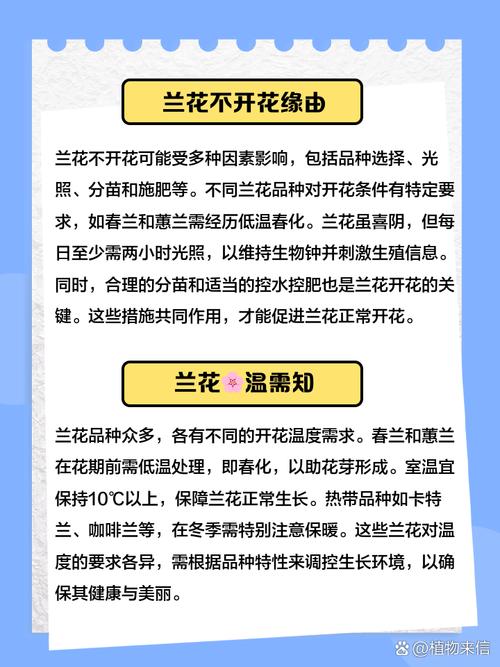 兰花什么时候开花，兰花几月开花？请问兰花几月份开花？-第2张图片-优品飞百科