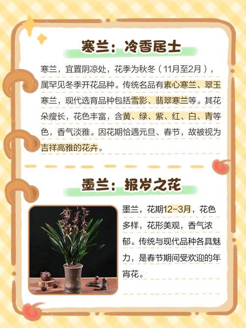 兰花什么时候开花，兰花几月开花？请问兰花几月份开花？-第7张图片-优品飞百科