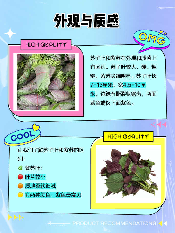 紫苏梗的功效与作用，紫苏叶的功效，紫苏梗的功效与作用性味归经？-第2张图片-优品飞百科