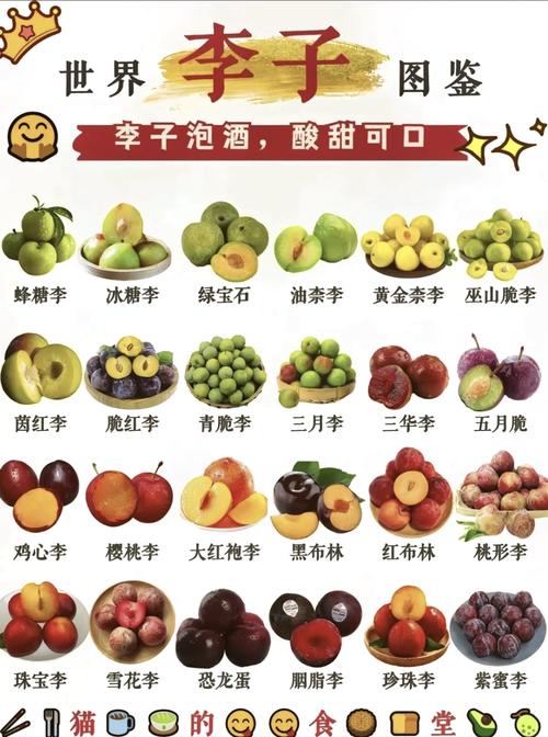 黑布林的功效与作用，黑布林的功效与作用减脂？-第5张图片-优品飞百科