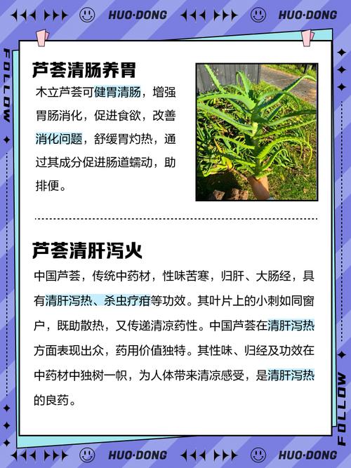 吃芦荟的禁忌，芦荟能怎么吃？芦荟吃了对身体有什么好处？-第2张图片-优品飞百科