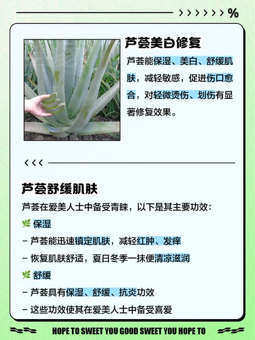 吃芦荟的禁忌，芦荟能怎么吃？芦荟吃了对身体有什么好处？-第3张图片-优品飞百科
