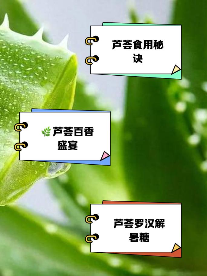 吃芦荟的禁忌，芦荟能怎么吃？芦荟吃了对身体有什么好处？-第4张图片-优品飞百科