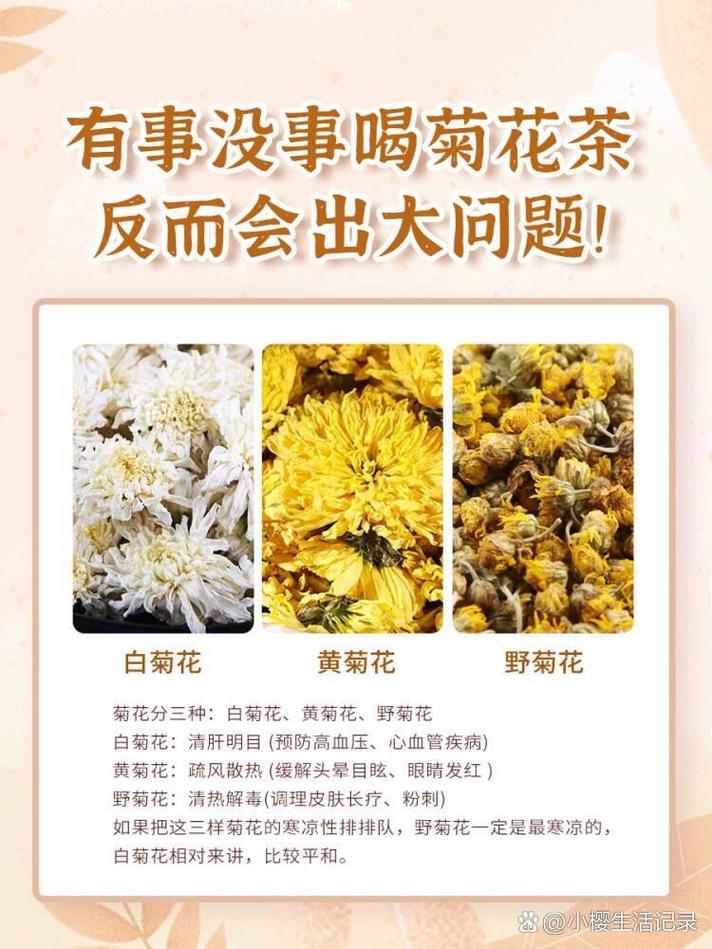 菊花的功效与作用，菊花和枸杞一起泡的功效与作用