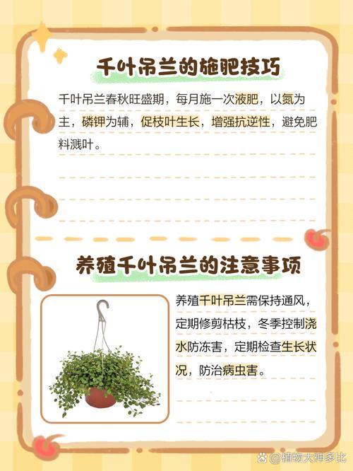 木兰适宜摆放于在室内吗,木兰花放室外还是室内-第5张图片-优品飞百科 木兰适宜摆放于在室内吗,木兰花放室外还是室内-第5张图片-优品飞百科