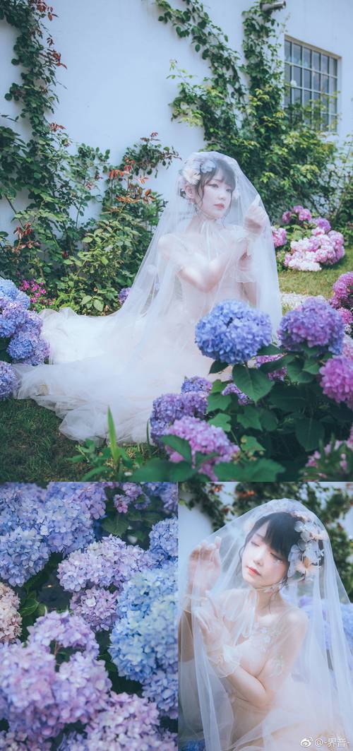 咬人猫的功效和作用，咬人猫是啥-第3张图片-优品飞百科