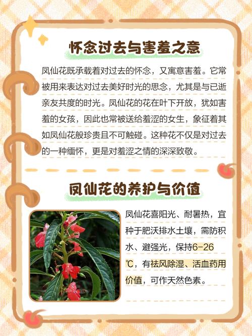 凤仙花的花语和寓意，有什么传说故事，凤仙花的花语和象征代表意义是什么?-第2张图片-优品飞百科