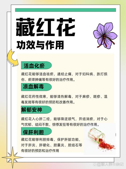 藏红花介绍，藏红花是什么？藏红花是什么作用的？-第4张图片-优品飞百科