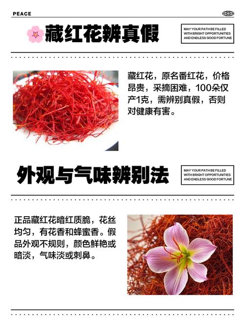 藏红花介绍，藏红花是什么？藏红花是什么作用的？-第7张图片-优品飞百科
