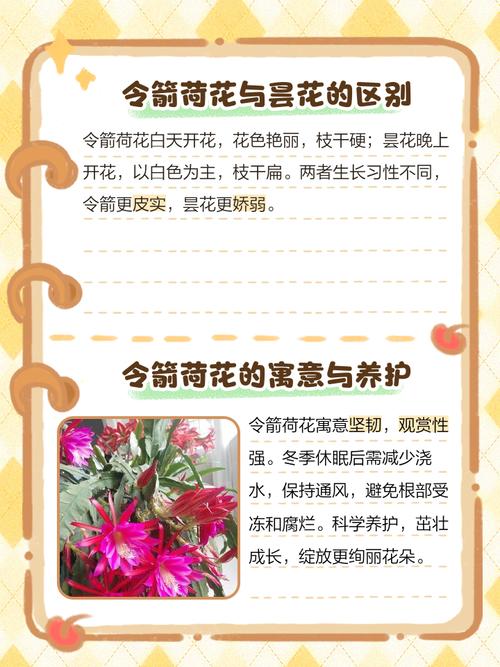 家里养令箭荷花有什么好处，养令箭荷花用什么盆？-第1张图片-优品飞百科