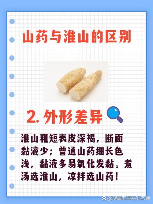 山药是什么，山药与淮山的区别？如何区分山药和淮山?二者营养功效一样吗?？-第1张图片-优品飞百科