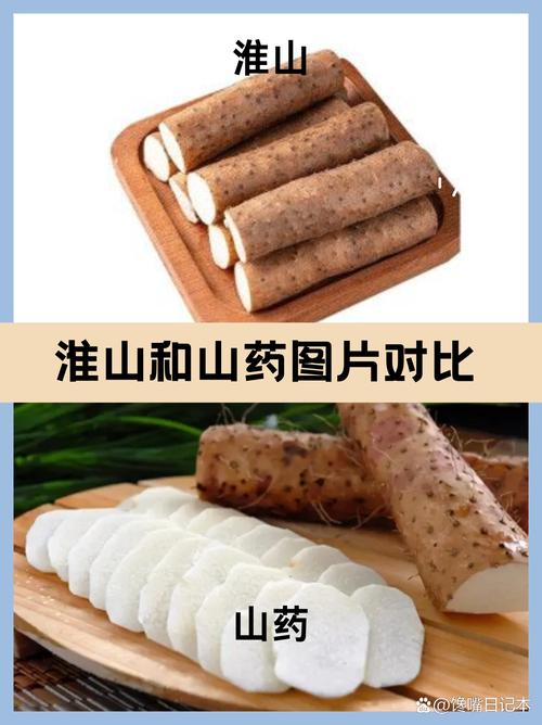 山药是什么，山药与淮山的区别？如何区分山药和淮山?二者营养功效一样吗?？-第6张图片-优品飞百科