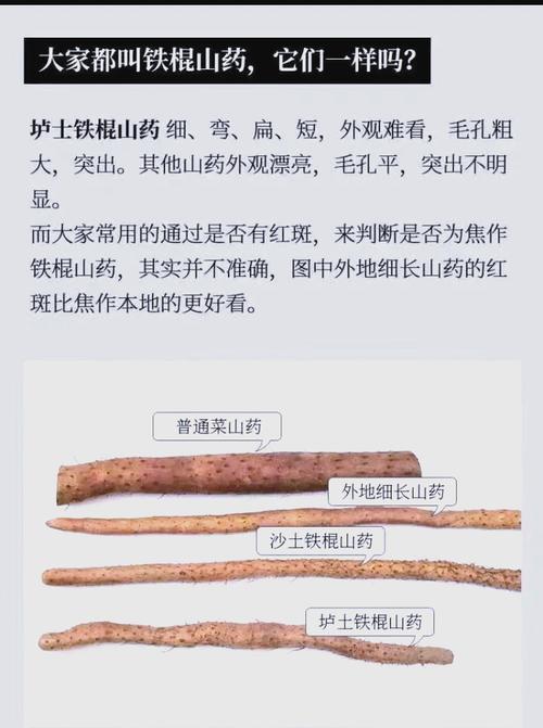 山药是什么，山药与淮山的区别？如何区分山药和淮山?二者营养功效一样吗?？-第7张图片-优品飞百科