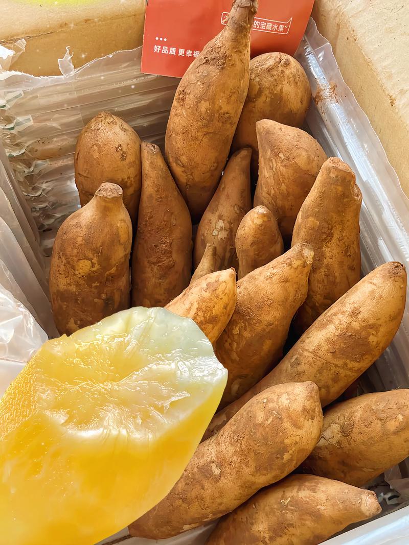 雪莲果的正确吃法？雪莲果的正确吃法与功效？-第3张图片-优品飞百科