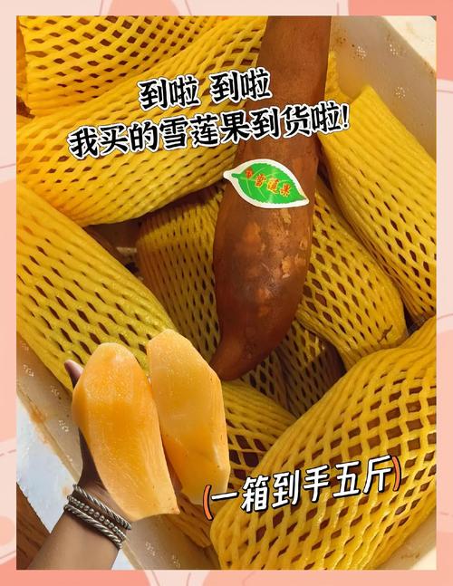 雪莲果的正确吃法？雪莲果的正确吃法与功效？-第5张图片-优品飞百科