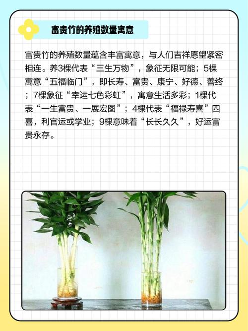 富贵竹养9支好还是10支好,富贵竹养10根代表什么?-第1张图片-优品飞百科 富贵竹养9支好还是10支好,富贵竹养10根代表什么?-第1张图片-优品飞百科
