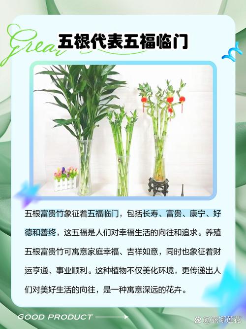 富贵竹养9支好还是10支好,富贵竹养10根代表什么?-第2张图片-优品飞百科 富贵竹养9支好还是10支好,富贵竹养10根代表什么?-第2张图片-优品飞百科