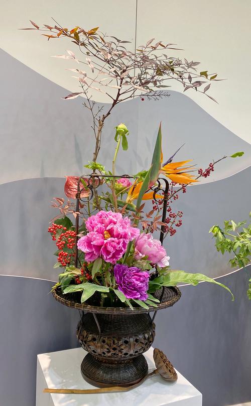 芍药插花特点，芍药插花瓶图片-第4张图片-优品飞百科