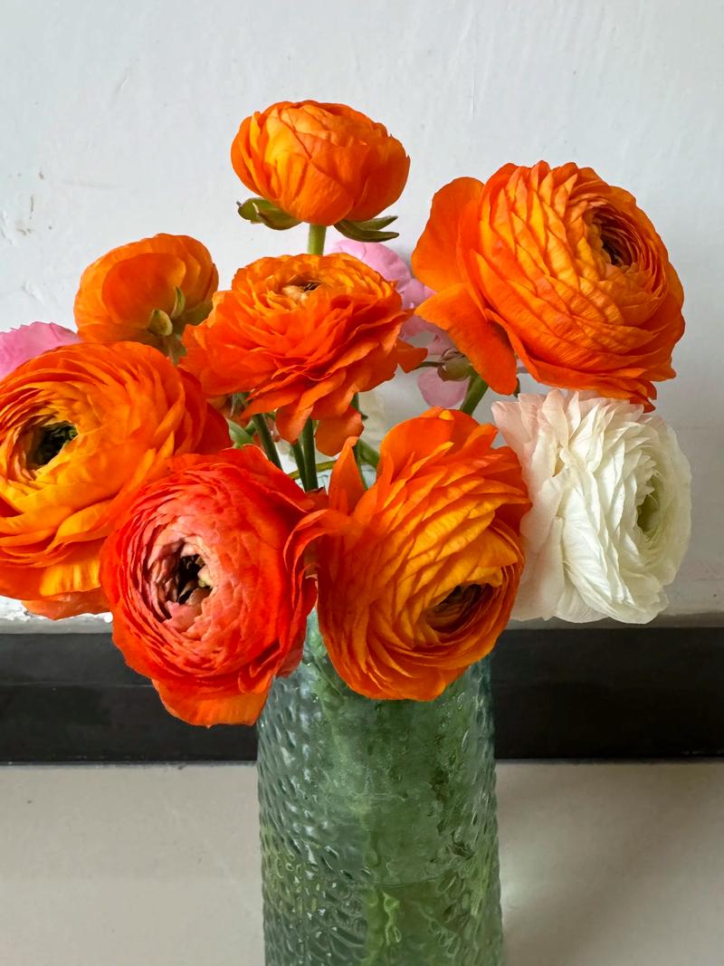 芍药插花特点，芍药插花瓶图片-第6张图片-优品飞百科