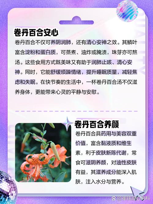 卷丹有什么作用，卷丹图片功效用作？-第1张图片-优品飞百科