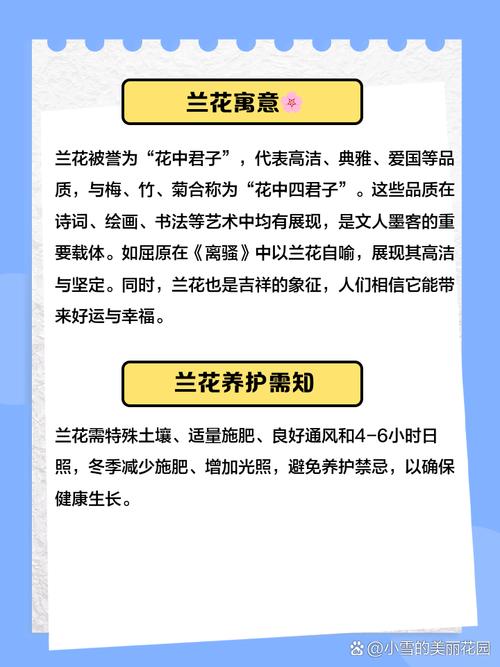 兰花的特点，怎样养兰花，兰花的特性怎样养兰花-第4张图片-优品飞百科