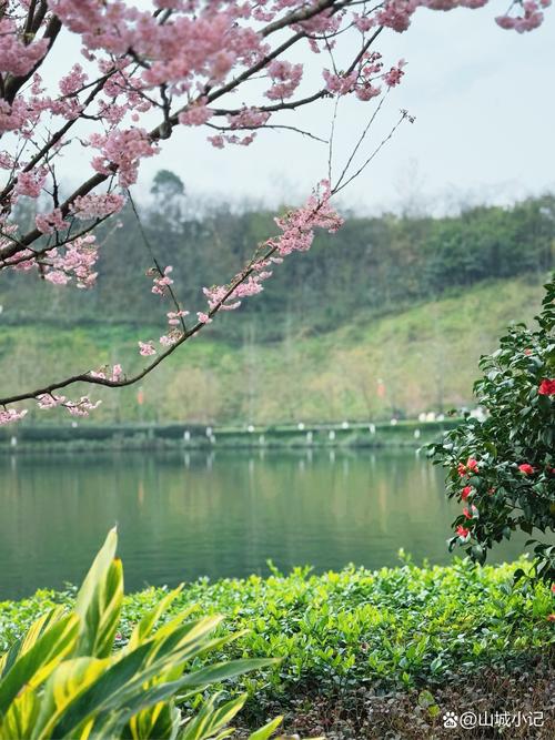 本周六玉渊潭公园的天气，玉渊潭公园夏季