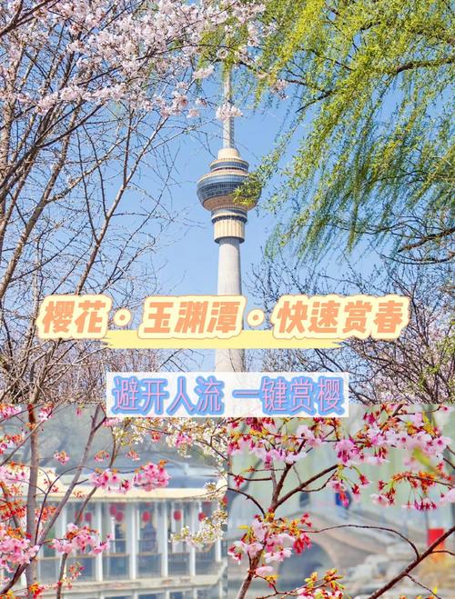 本周六玉渊潭公园的天气，玉渊潭公园夏季-第5张图片-优品飞百科