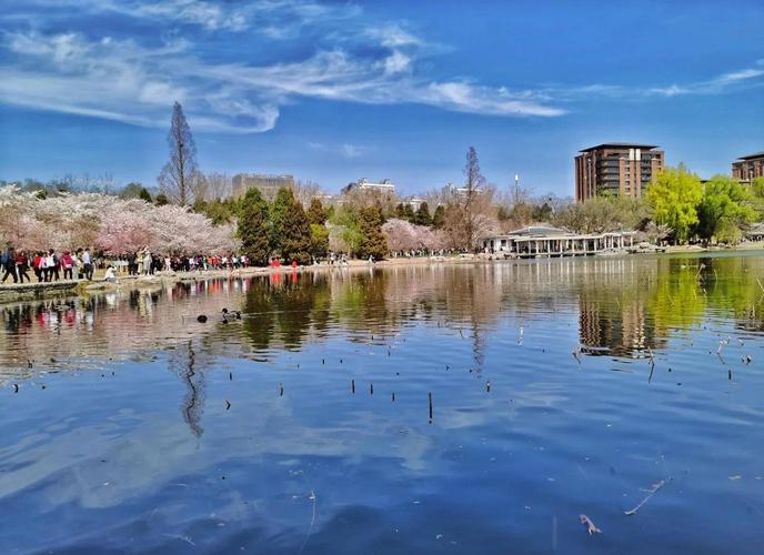 本周六玉渊潭公园的天气，玉渊潭公园夏季-第6张图片-优品飞百科