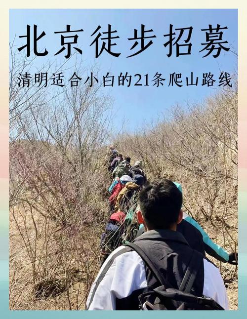 本周六玉渊潭公园的天气，玉渊潭公园夏季-第7张图片-优品飞百科