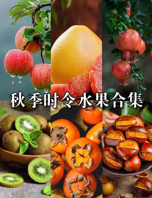 秋天就吃这6种水果,气色好到能发光!?秋天吃什么水果好吃?-第4张图片-优品飞百科 秋天就吃这6种水果,气色好到能发光!?秋天吃什么水果好吃?-第4张图片-优品飞百科