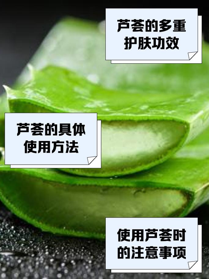 包含“芦荟”叶子到底能不能擦脸？你想问的，答案都在这里了的词条-第1张图片-优品飞百科